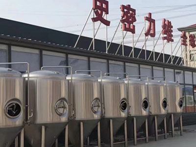 肥东精酿啤酒设备厂—市场规模与跨界新需求